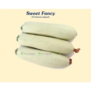 [HG Đài Loan] Bí ngòi trắng Sweet Fancy Gói 10 Hạt giống loại quả màu trắng sai trái dễ trồng thơm ngon