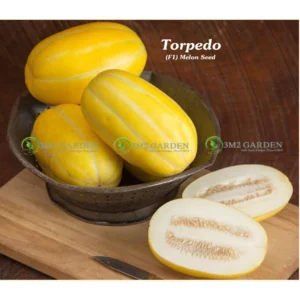 [Hạt giống Hàn Quốc] Hạt giống dưa lê Hàn Quốc Gói 10 hạt giống ruột trắng giòn ngon ngọt