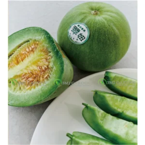 [Hạt giống Đài Loan] Gói 20 Hạt Dưa lê xanh Jade Apple siêu ngọt sai quả chịu nhiệt năng suất